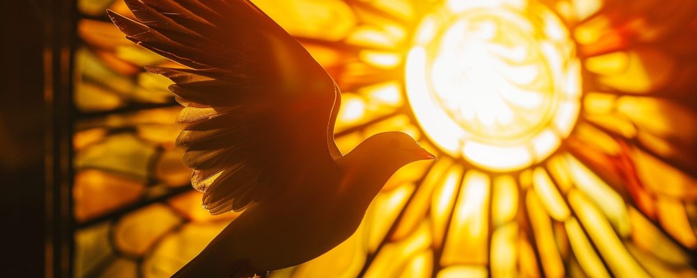 A fragilidade humana e a força no Espírito Santo